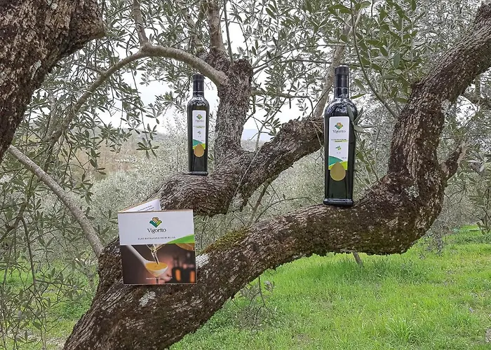 Agriturismo CuoreLieto del Cilento
