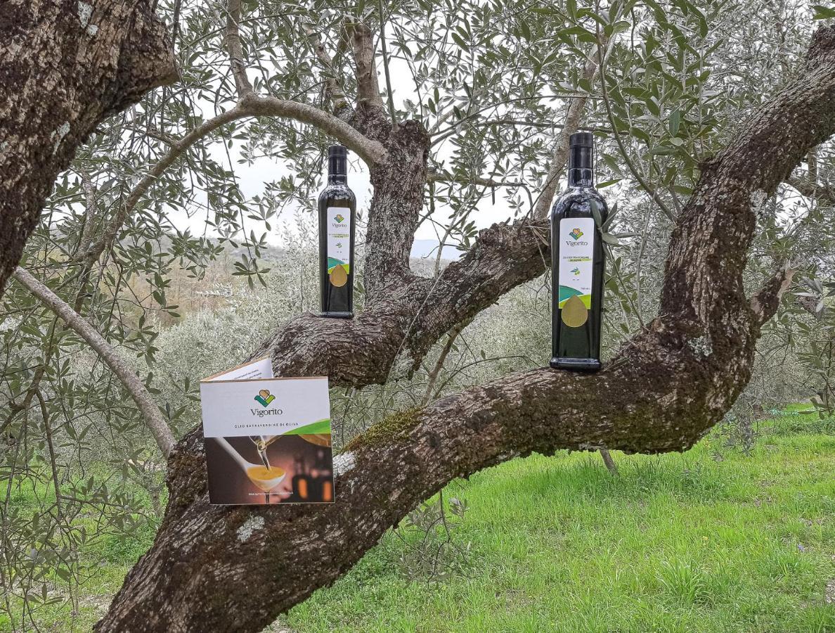 Farm stay Cuorelieto Del Cilento Corleto Monforte